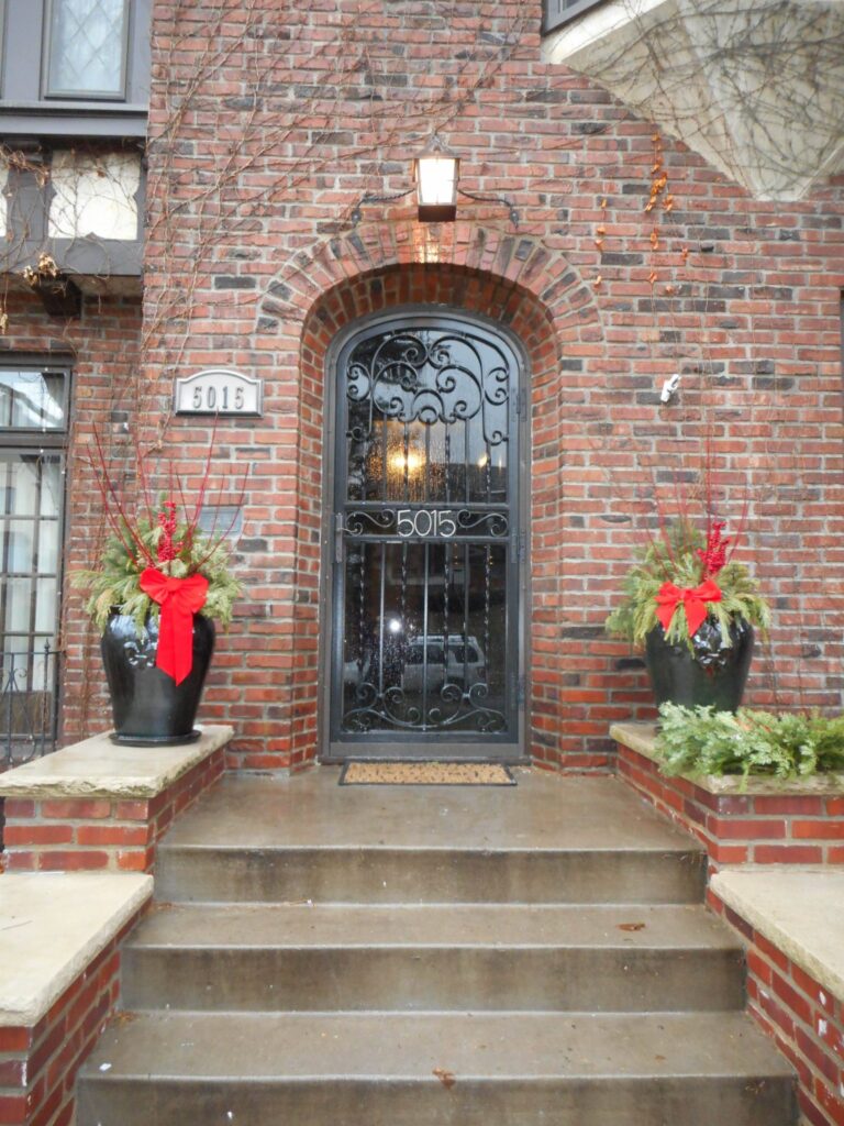 Artistic Ornamental Iron doors